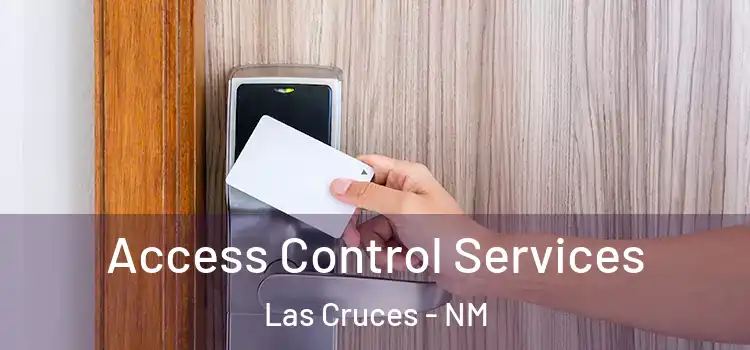  Access Control Services Las Cruces - NM