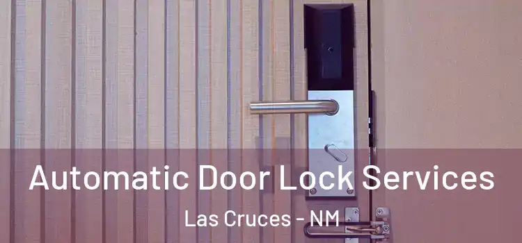  Automatic Door Lock Services Las Cruces - NM