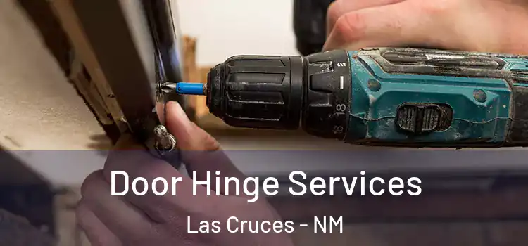  Door Hinge Services Las Cruces - NM