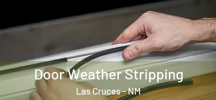  Door Weather Stripping Las Cruces - NM