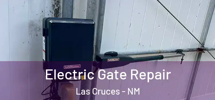  Electric Gate Repair Las Cruces - NM