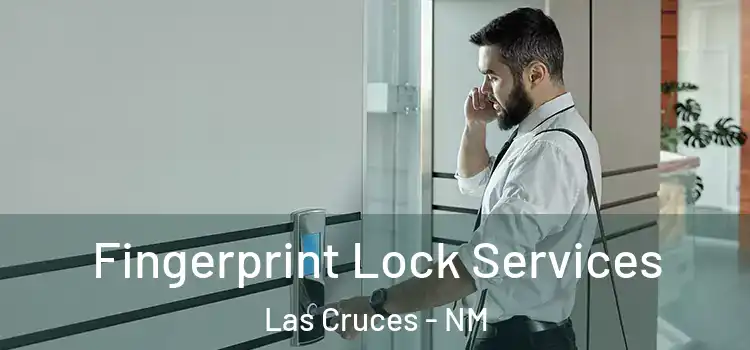 Fingerprint Lock Services Las Cruces - NM