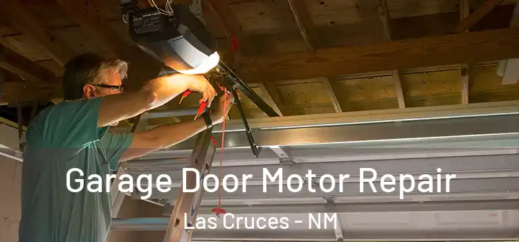  Garage Door Motor Repair Las Cruces - NM