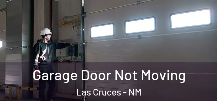  Garage Door Not Moving Las Cruces - NM