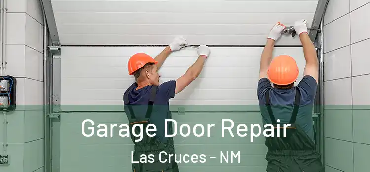 Garage Door Repair Las Cruces - NM