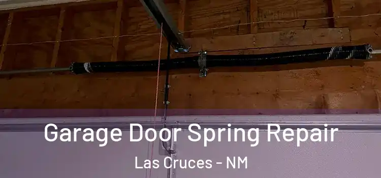  Garage Door Spring Repair Las Cruces - NM