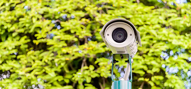 Advanced Surveillance Solutions for Every Need in Las Cruces