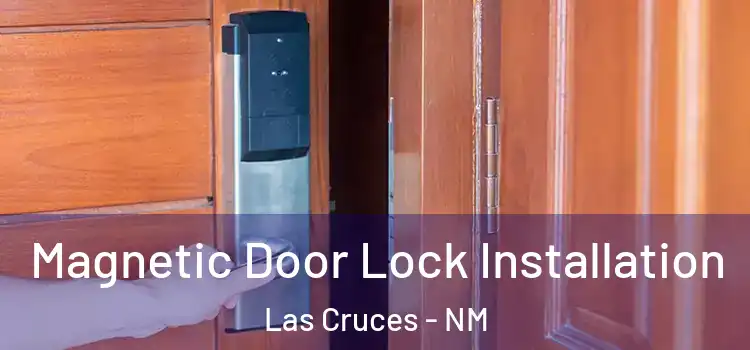  Magnetic Door Lock Installation Las Cruces - NM