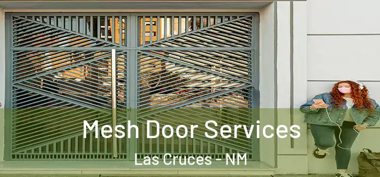  Mesh Door Services Las Cruces - NM
