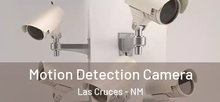  Motion Detection Camera Las Cruces - NM