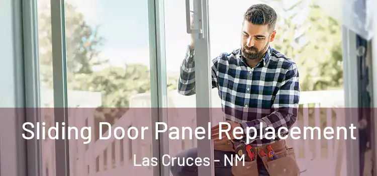  Sliding Door Panel Replacement Las Cruces - NM